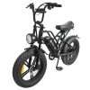 01 E20 fat tire ebike