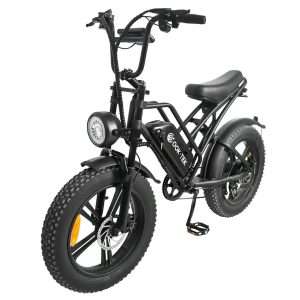 01 E20 fat tire ebike